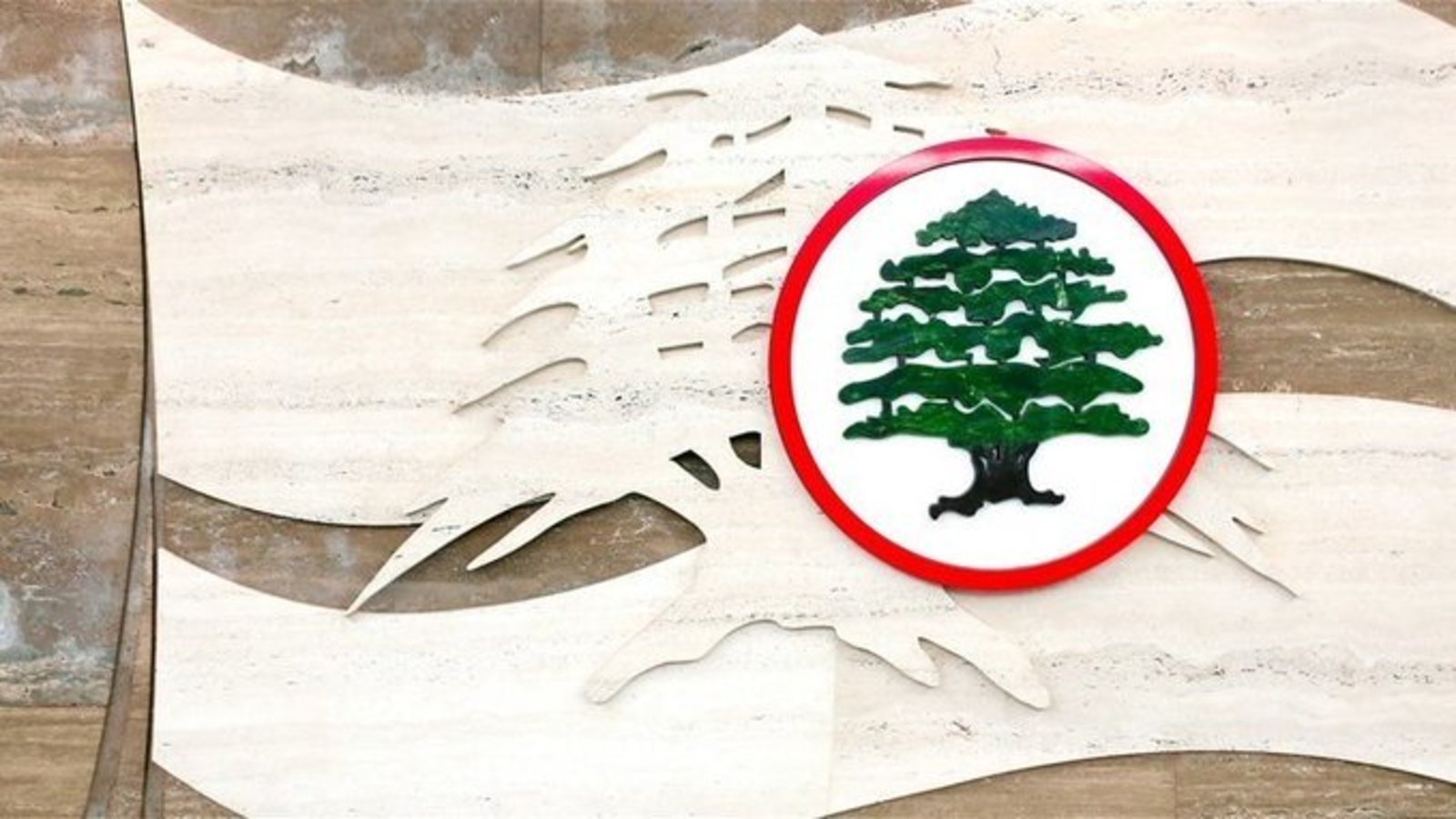 Entry Image